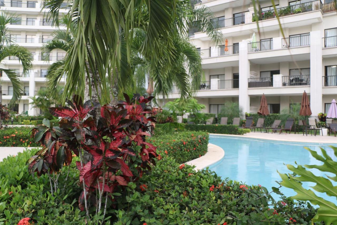 Amaluc zac Apartment Jacó Exterior foto